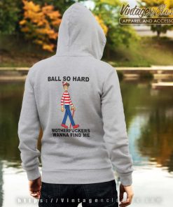 Ball So Hard Waldo Hoodie back
