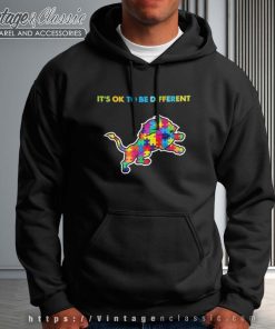 Detroit Lions Autism Its Ok To Be Different Hoodie