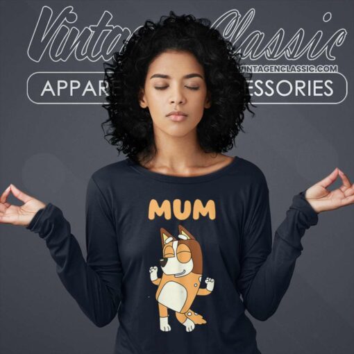Bluey Mom Chilli Heeler, Mothers Day Gift Shirt