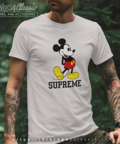 Supreme x outlet disney